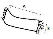 Measurement diagram