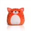 Variation picture for Squidgy Ginger Cat